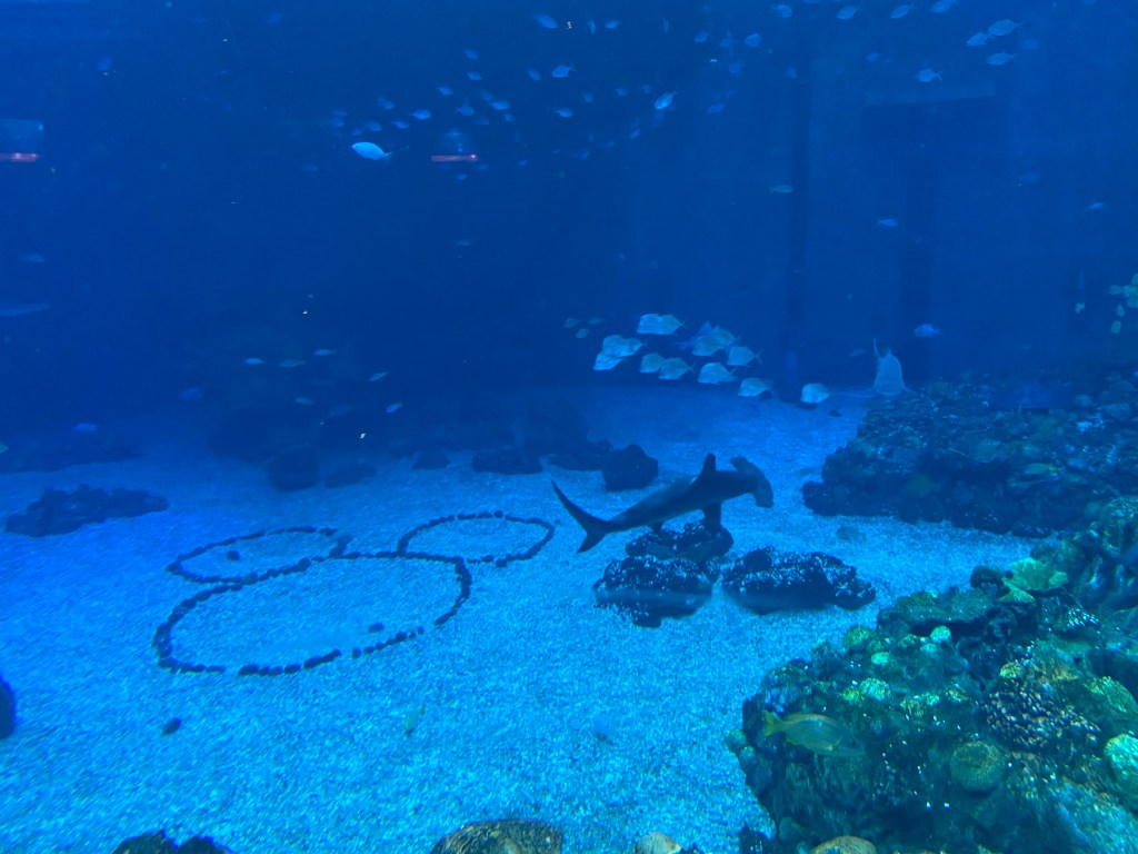 The Seas, EPCOT