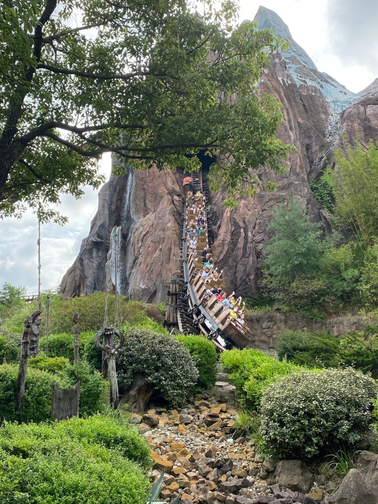Expedition Everest: Legend of the Forbidden Mountain, Disney's Animal Kingdom Theme Park