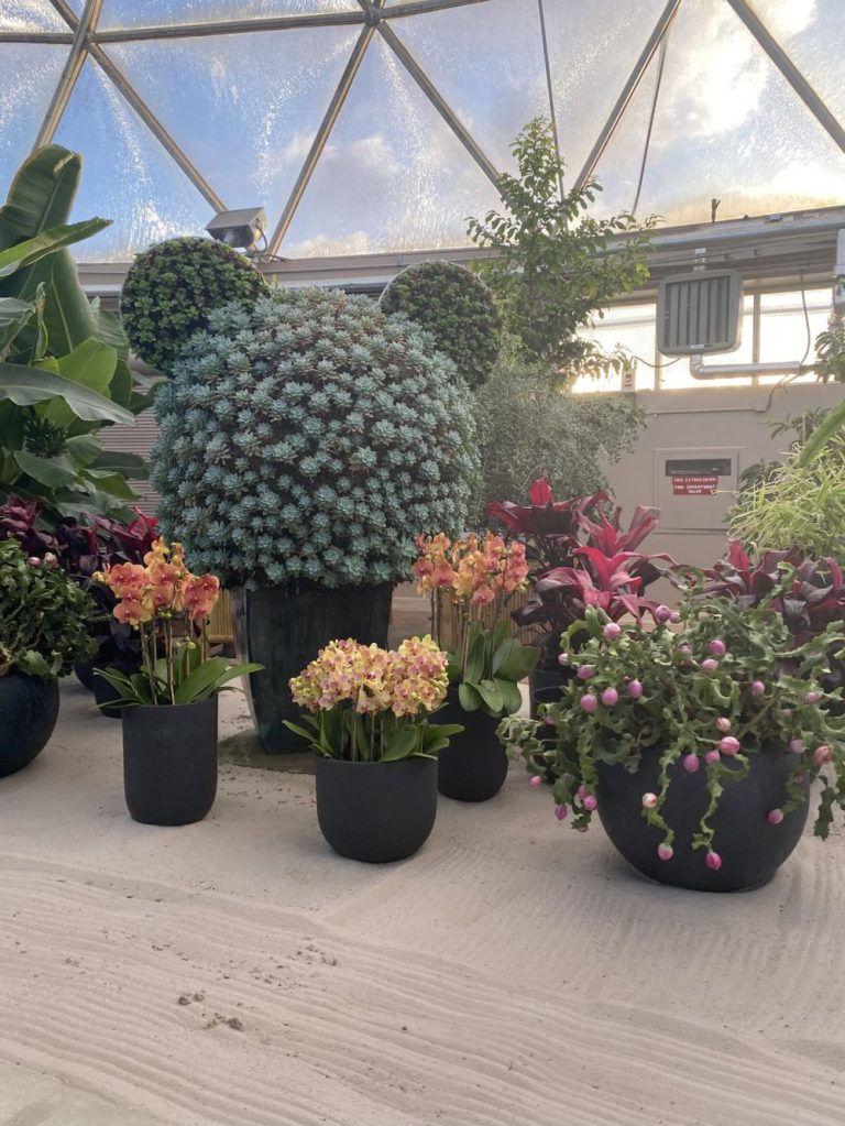 Epcot International Flower and Garden Festival, Living with the Land