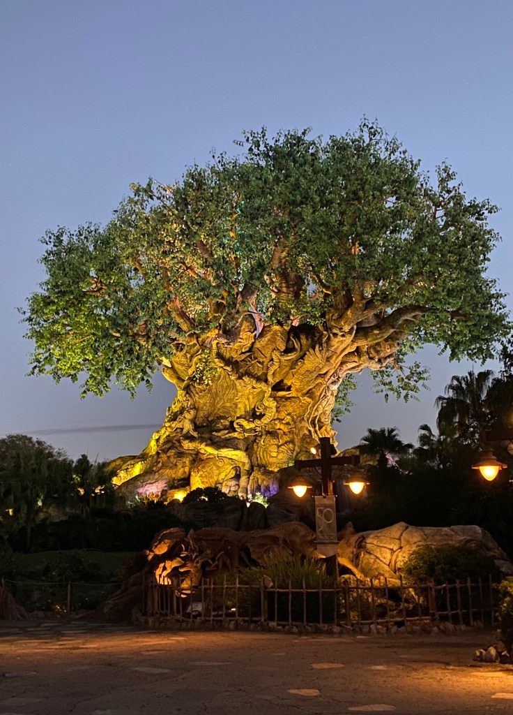 Tree of Life, Disney's Animal Kingdom Theme Park