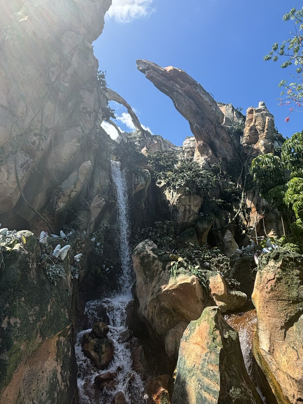 Pandora World of Avatar, Disney's Animal Kingdom