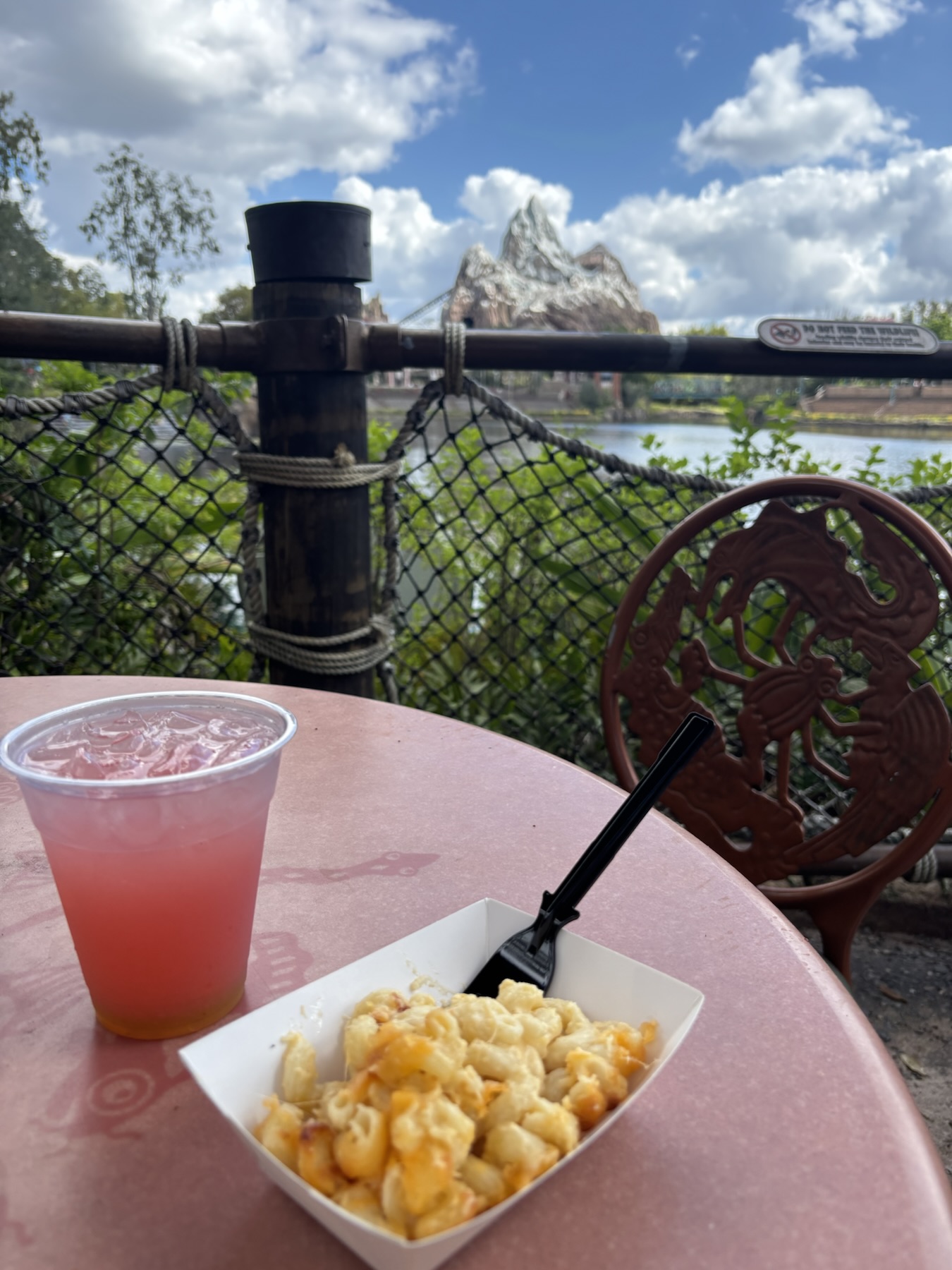 Side of Mac and Cheese and a cocktail from Flame Tree BBQ, Discovery Island Disney's Animal Kingdom