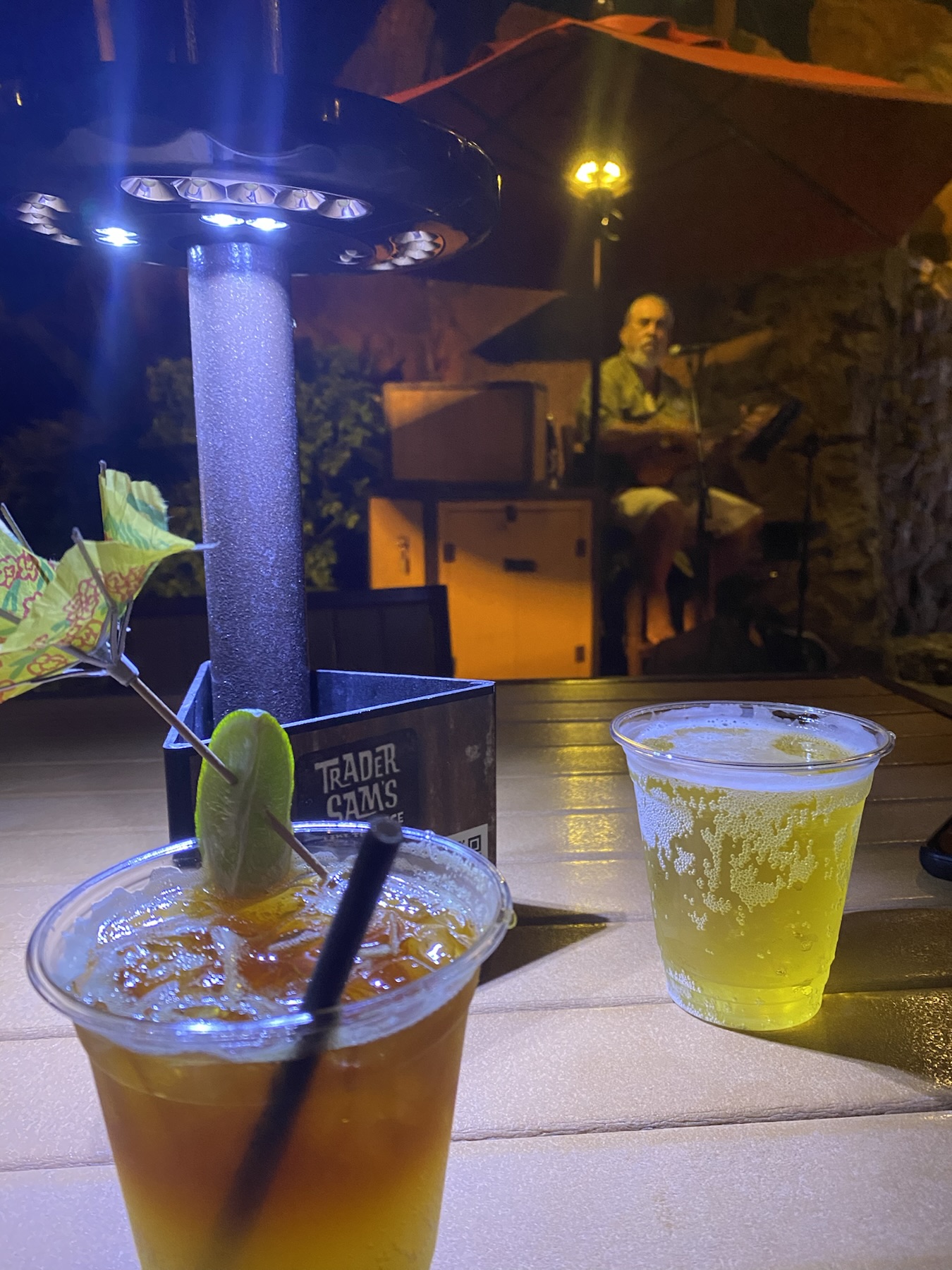 Trader Sam's Tiki Terrace