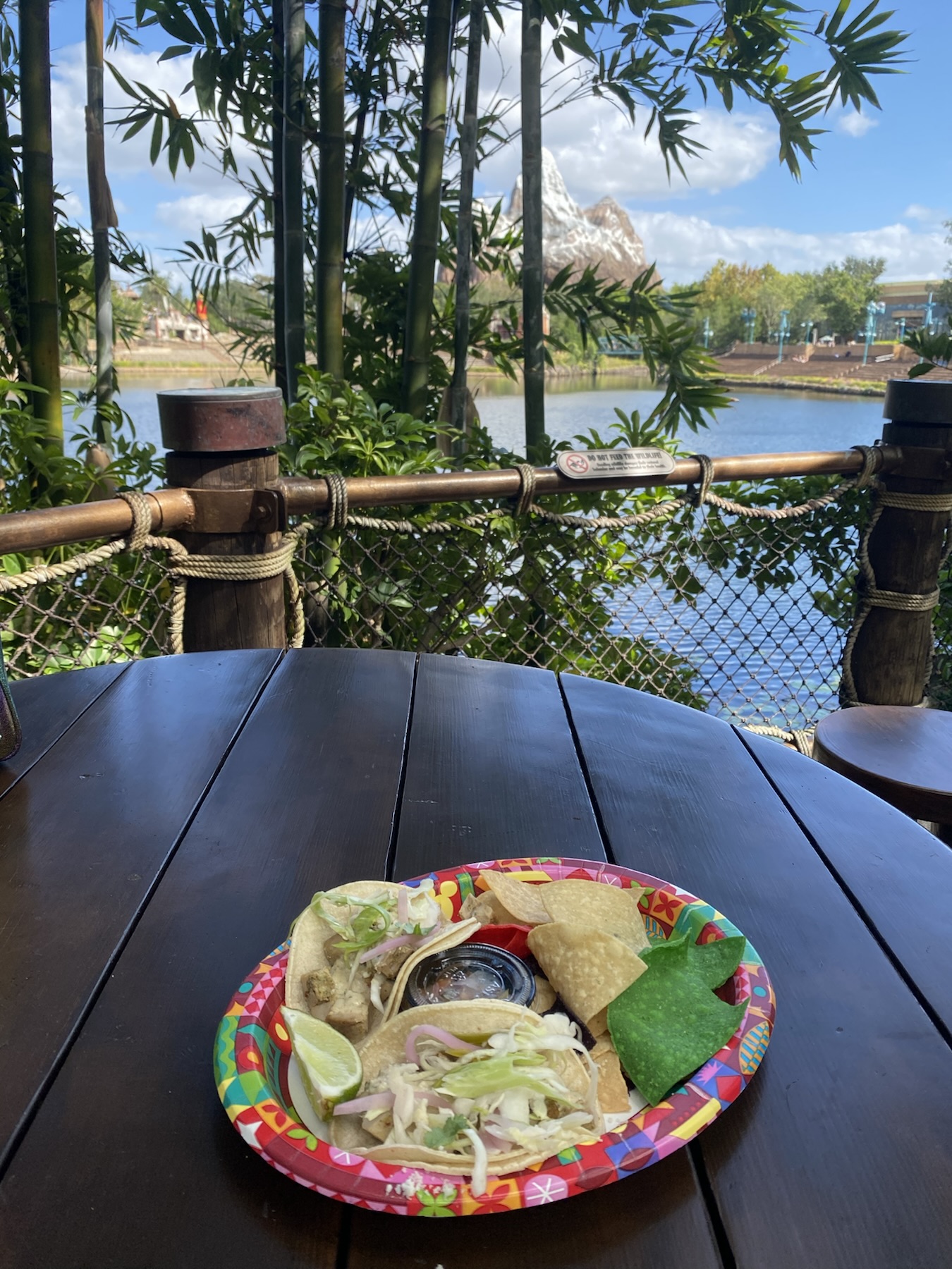 Smiling Crocodile Taco Plate, seated at Flame Tree BBQ Discovery Island Disney's Animal Kingdom
