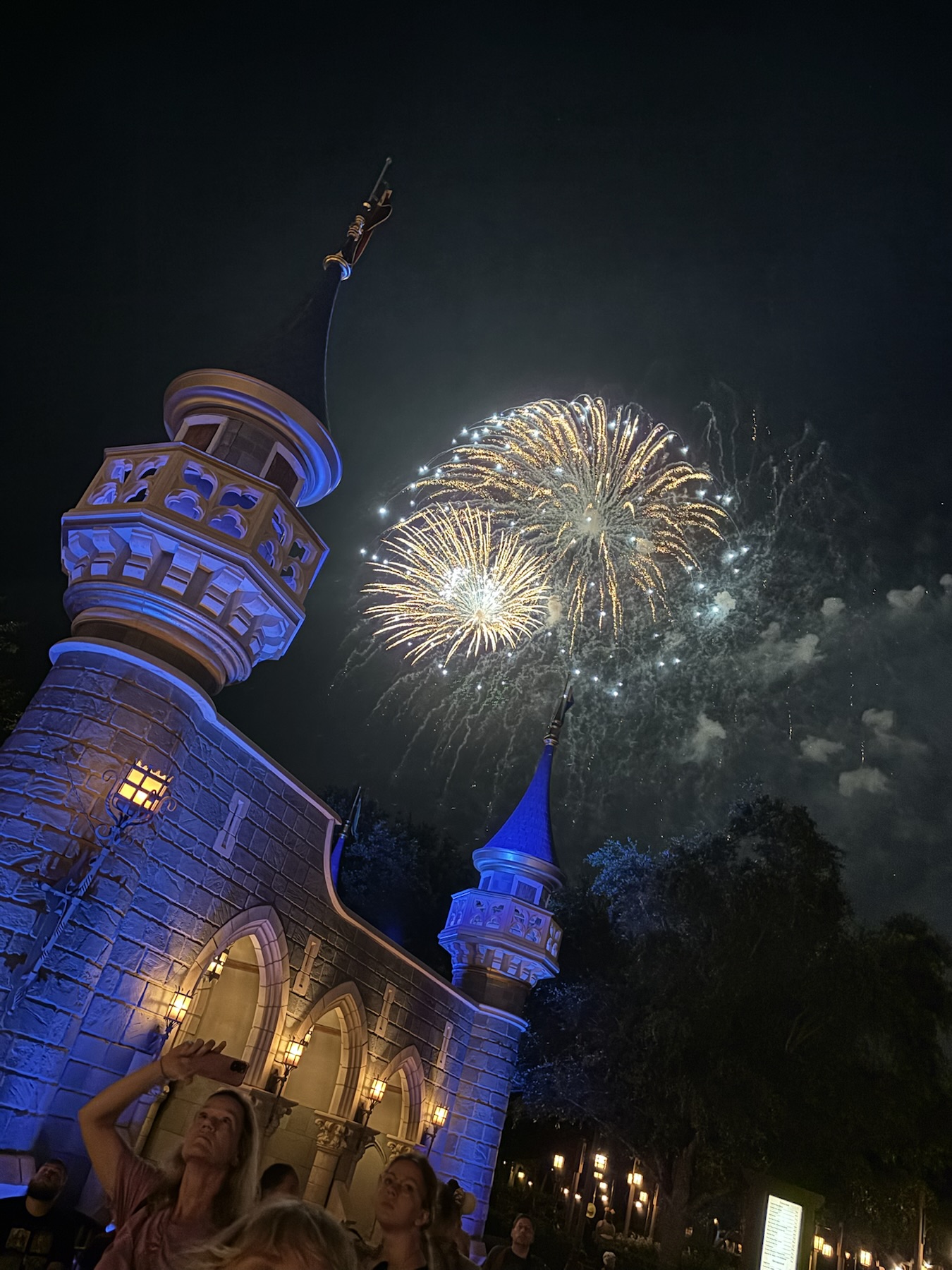 Magic Kingdom Fireworks from Fantasyland
