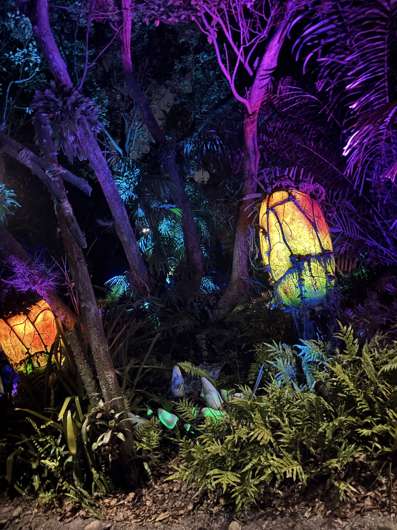 Pandora at Night