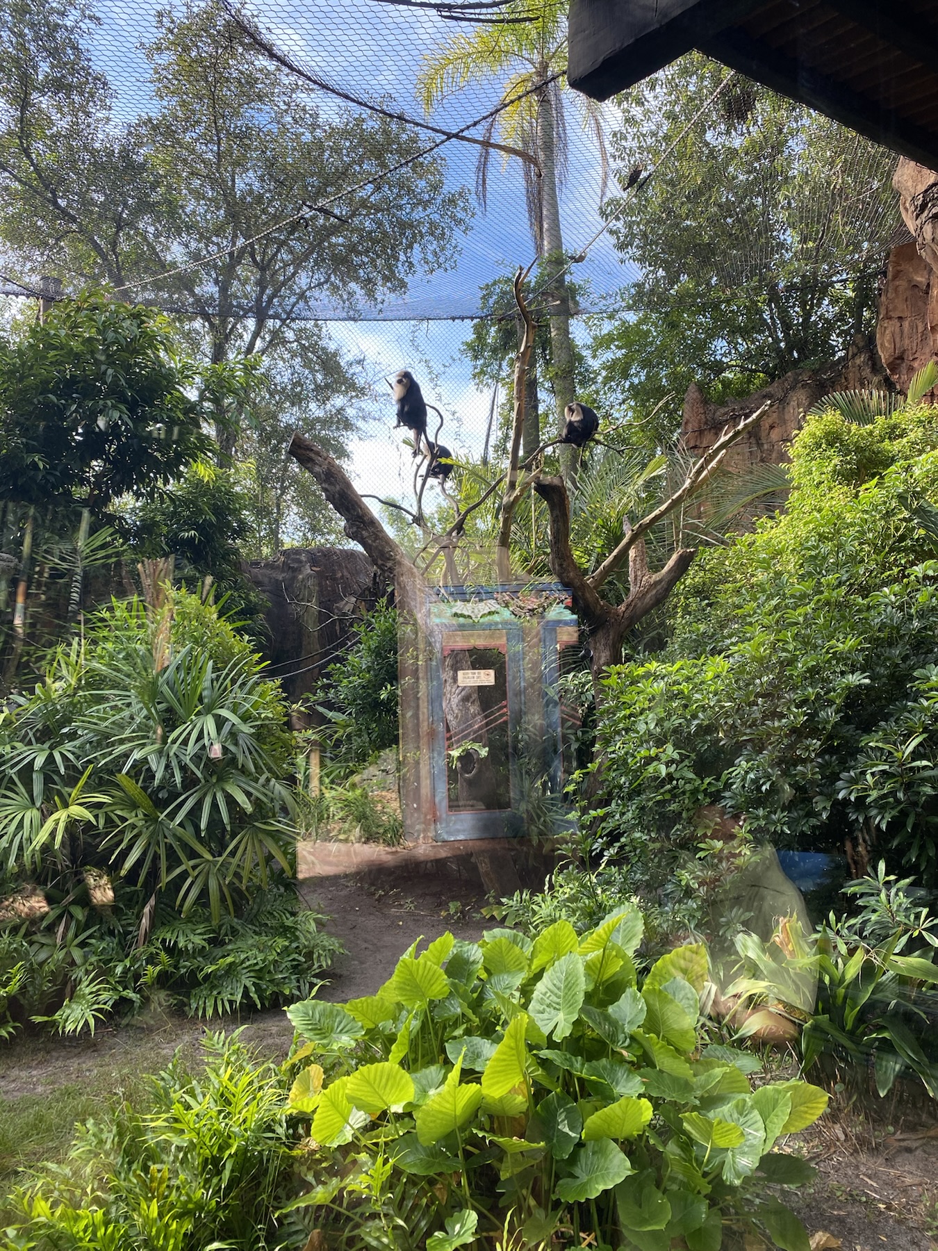 Maharaja Jungle Trek