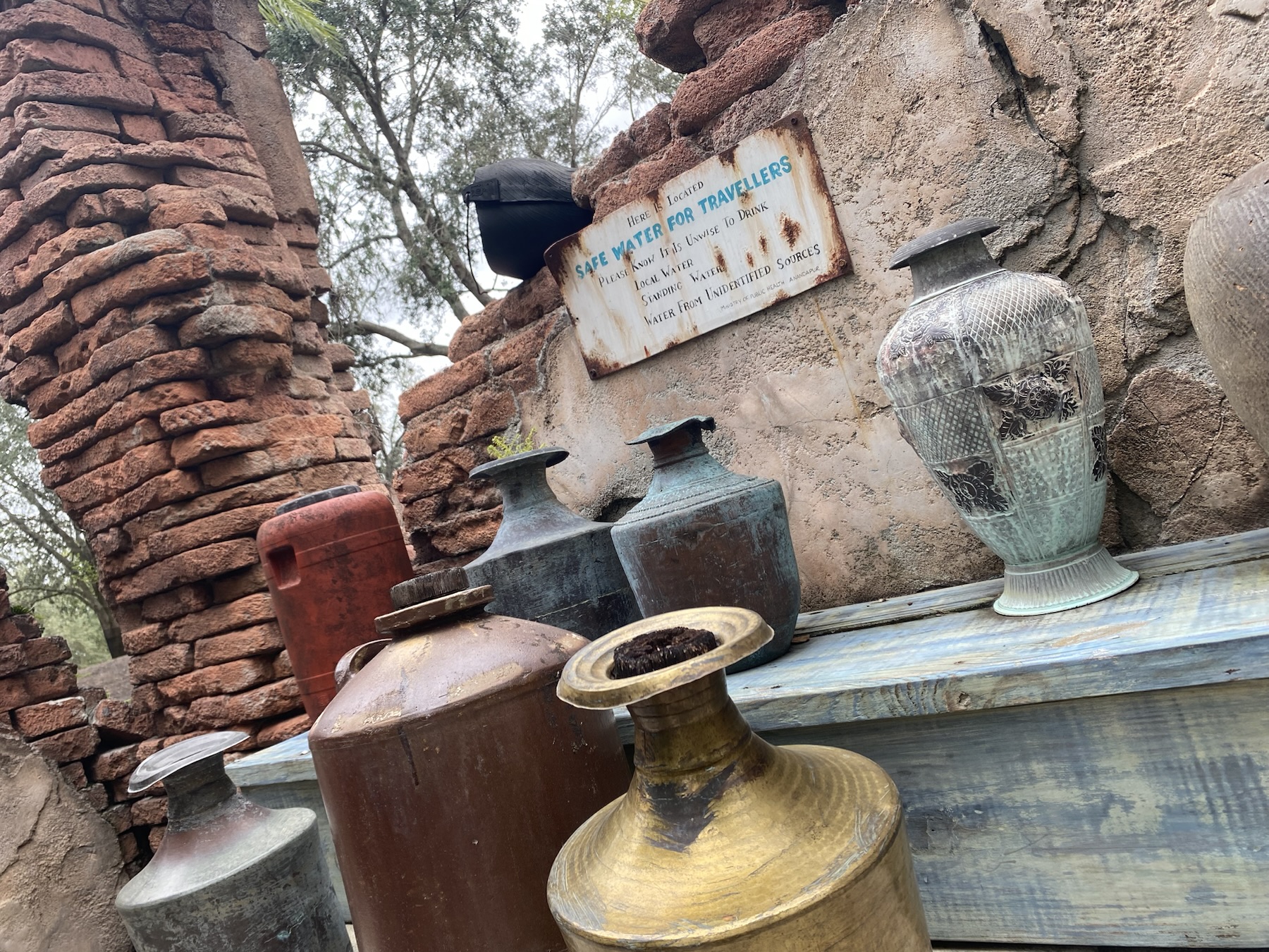 Watering Hole in Animal Kingdom