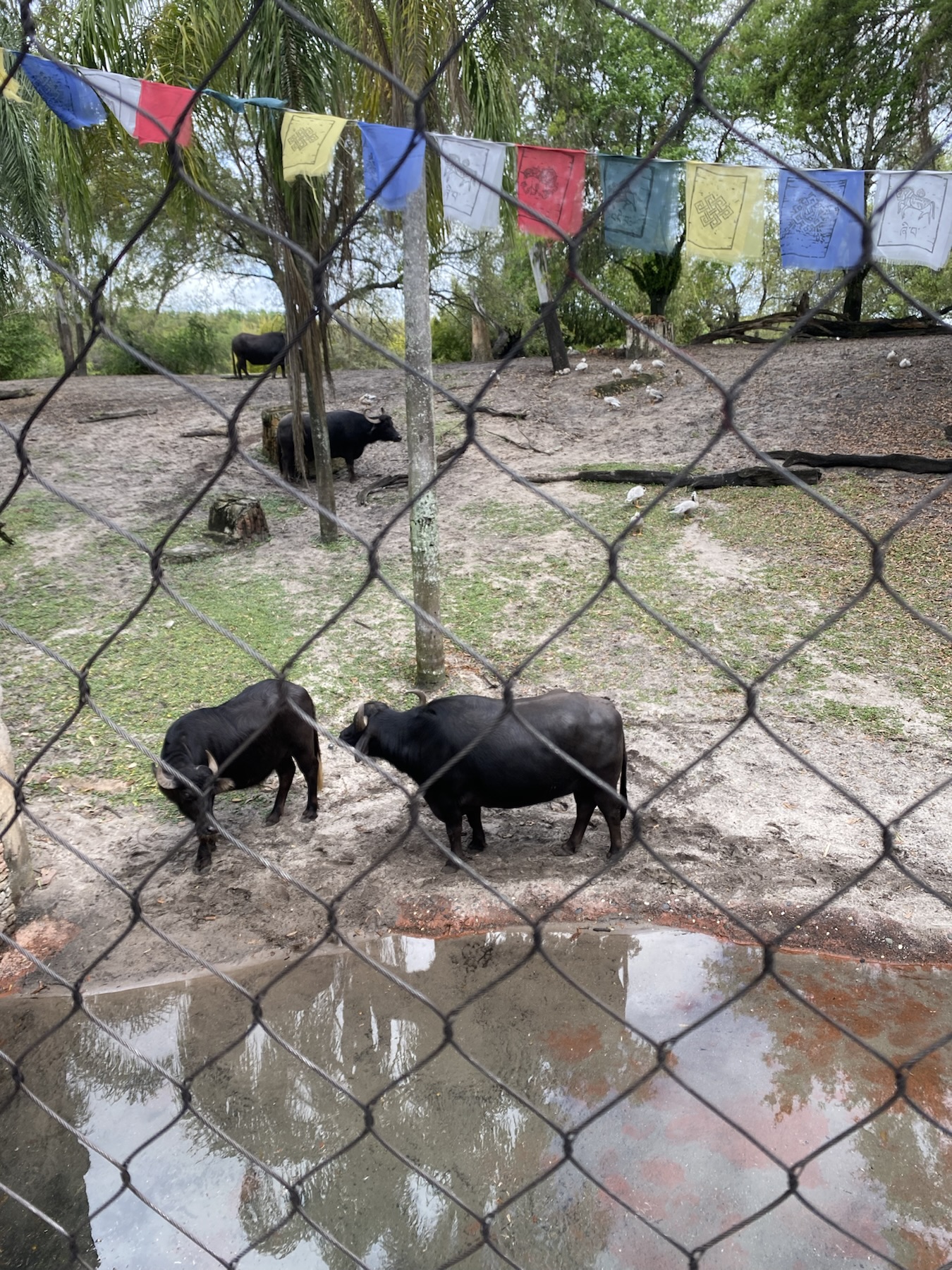 Maharaja Jungle Trek