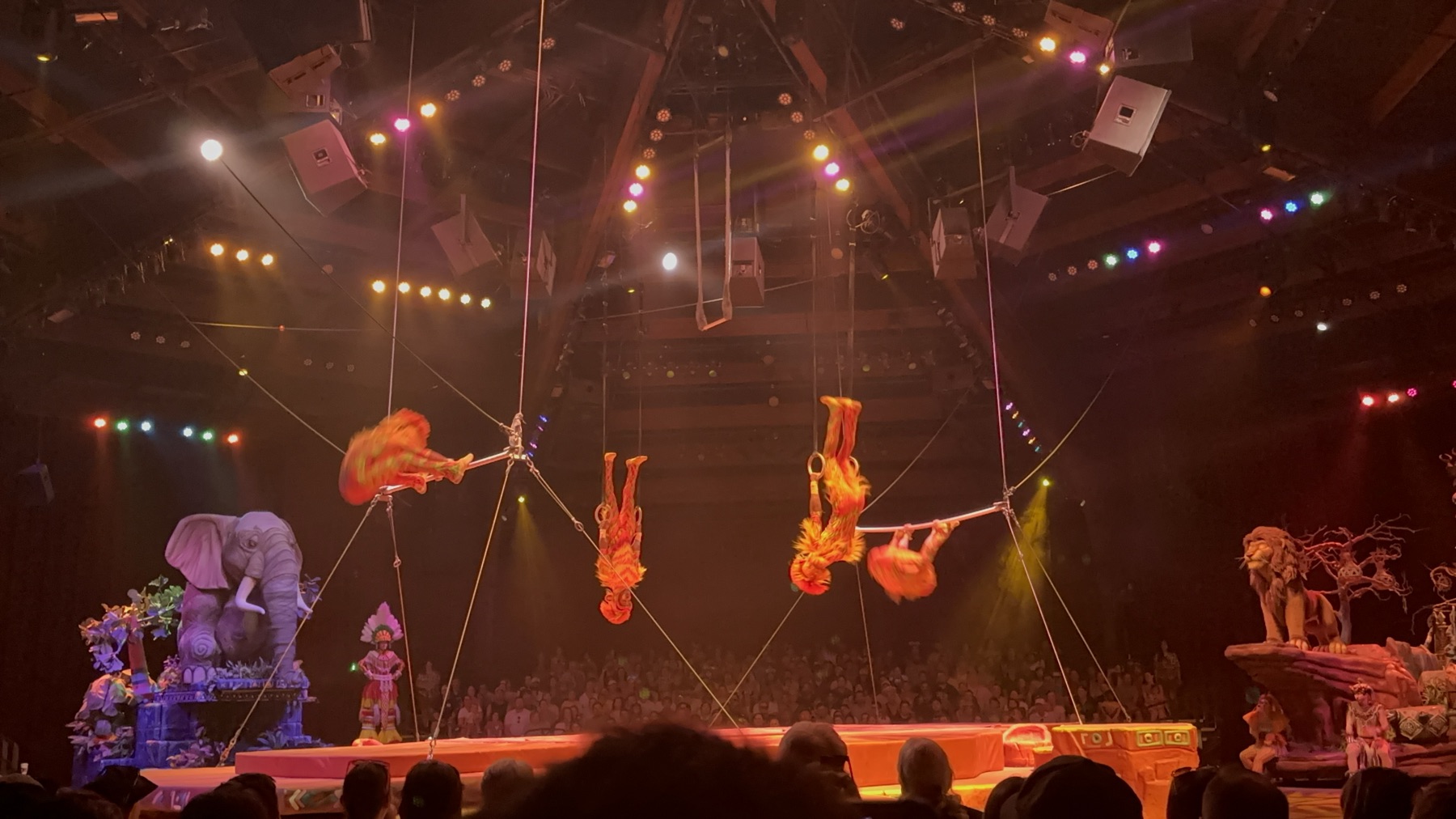 Festival of the Lion King, Disney's Animal Kingdom