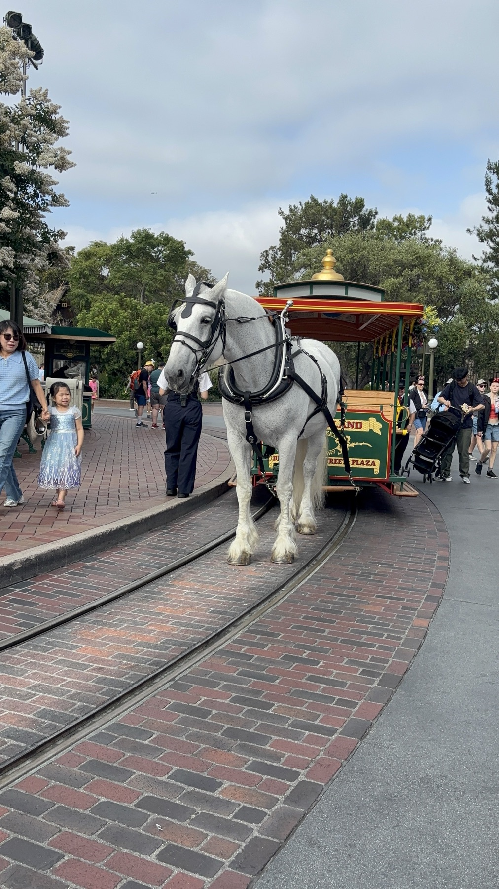 Horse Drawn Trolley, Main Street USA Disneyland