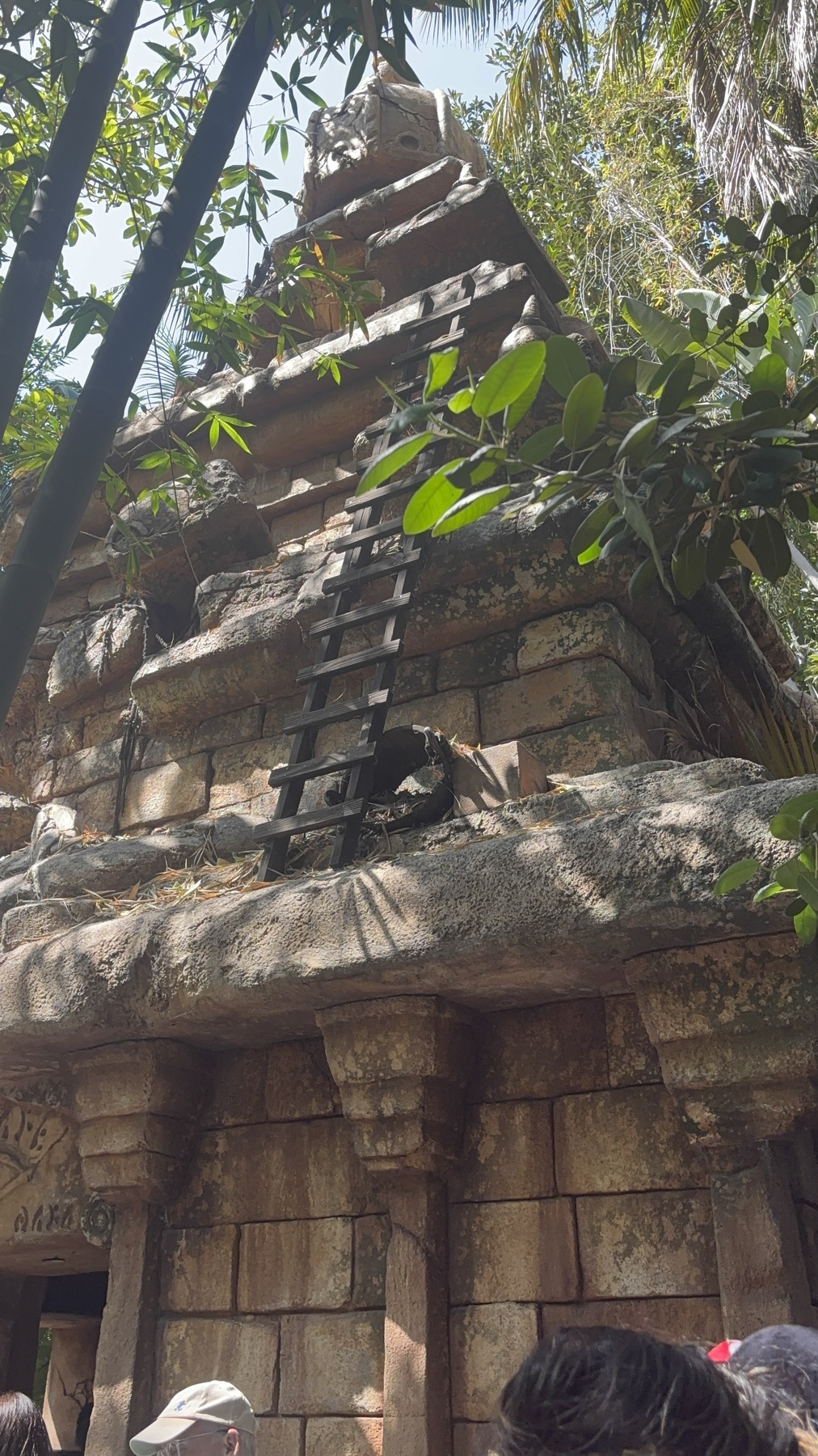 A Mysterious Temple leads you to Indiana Jones Adventure, Disneyland