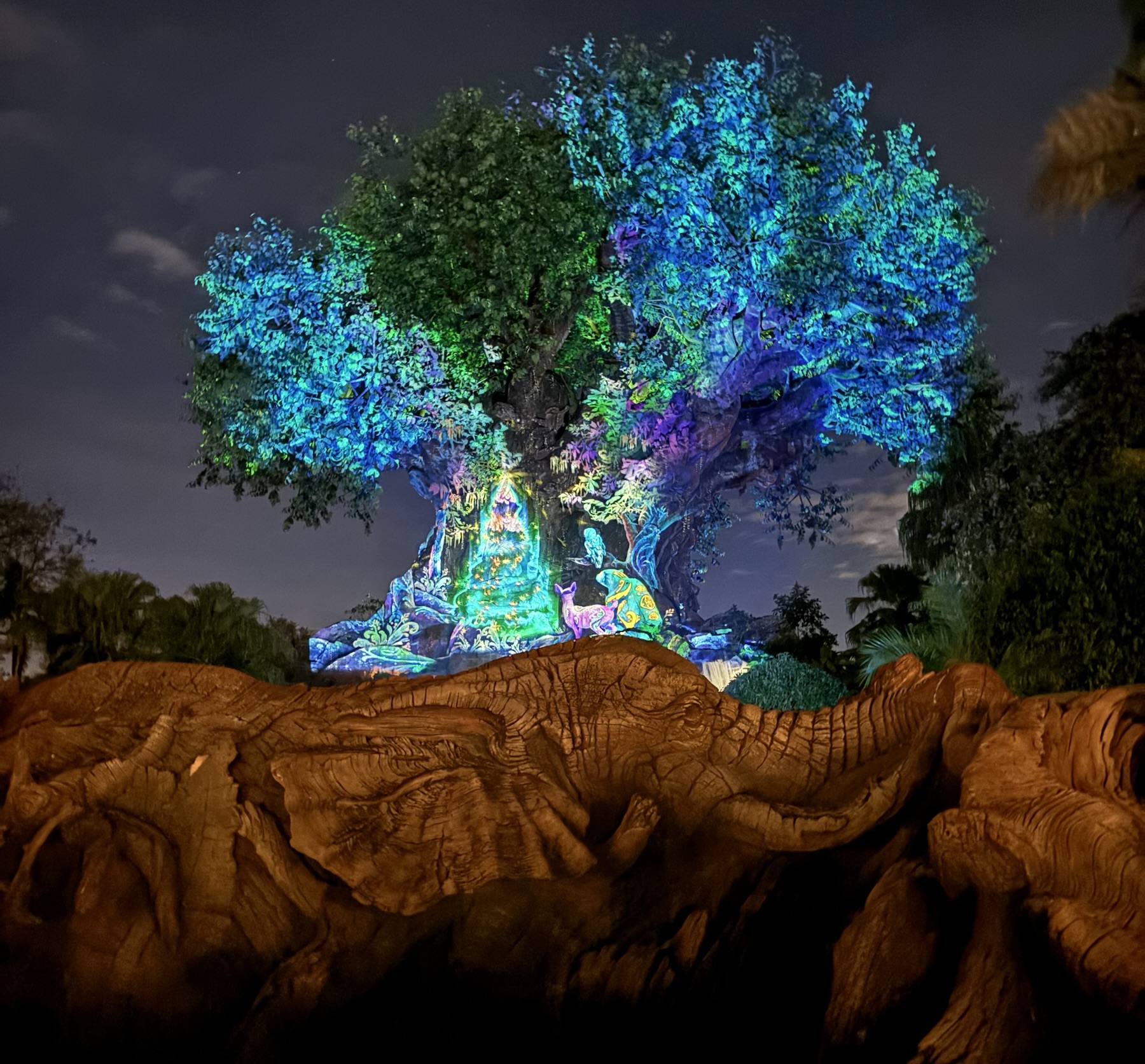 Tree of Life at Night, Disney's Animal Kingdom