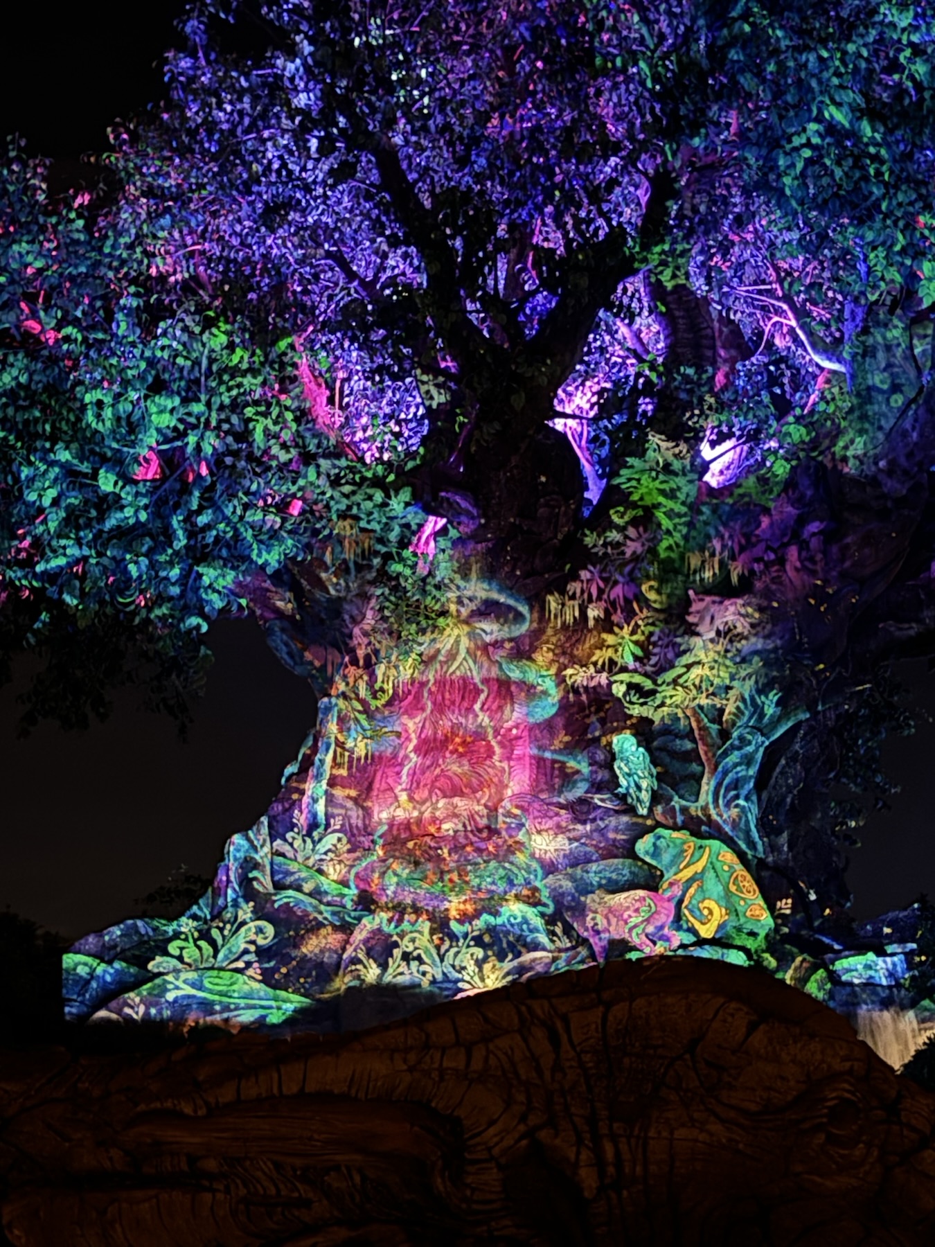 Tree of Life Holiday Projections at Disney's Animal Kingdom