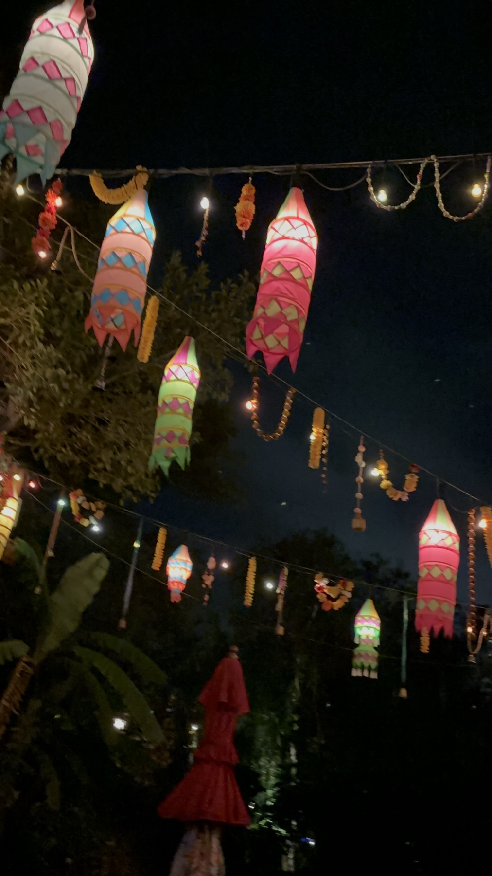 Diwali Lights at Disney's Animal Kingdom