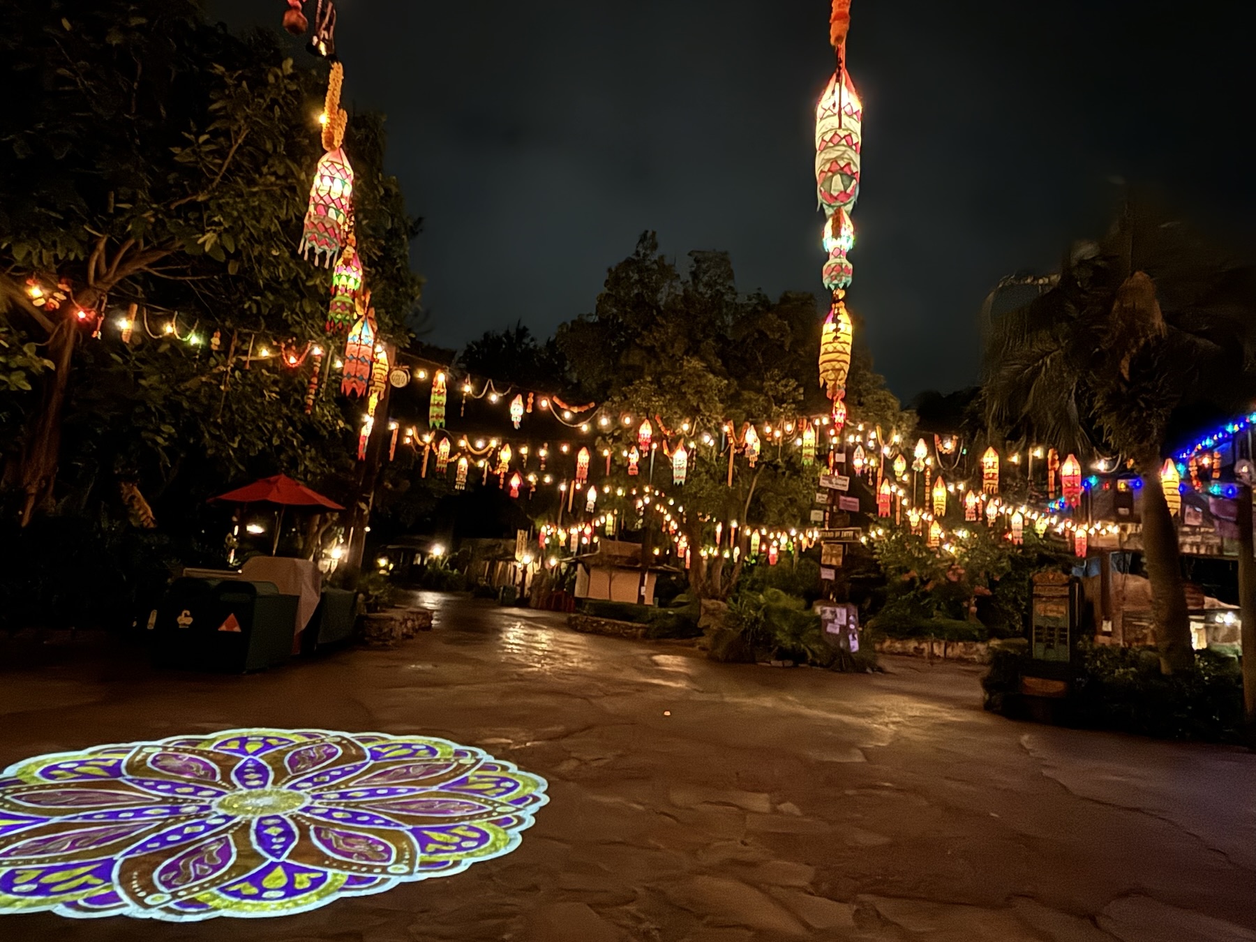 Diwali Lanterns, Disney's Animal Kingdom
