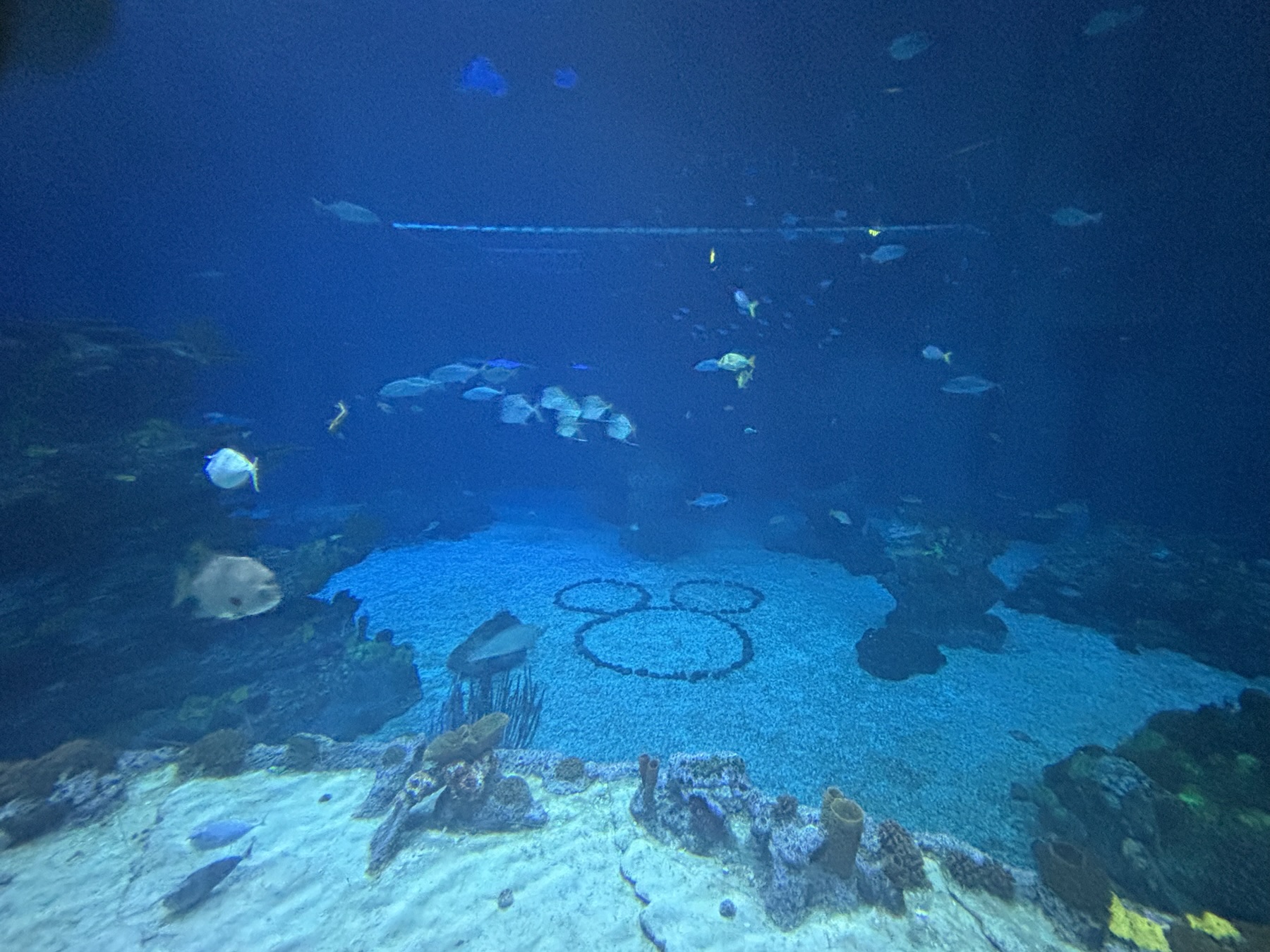 The Seas Pavilion, EPCOT