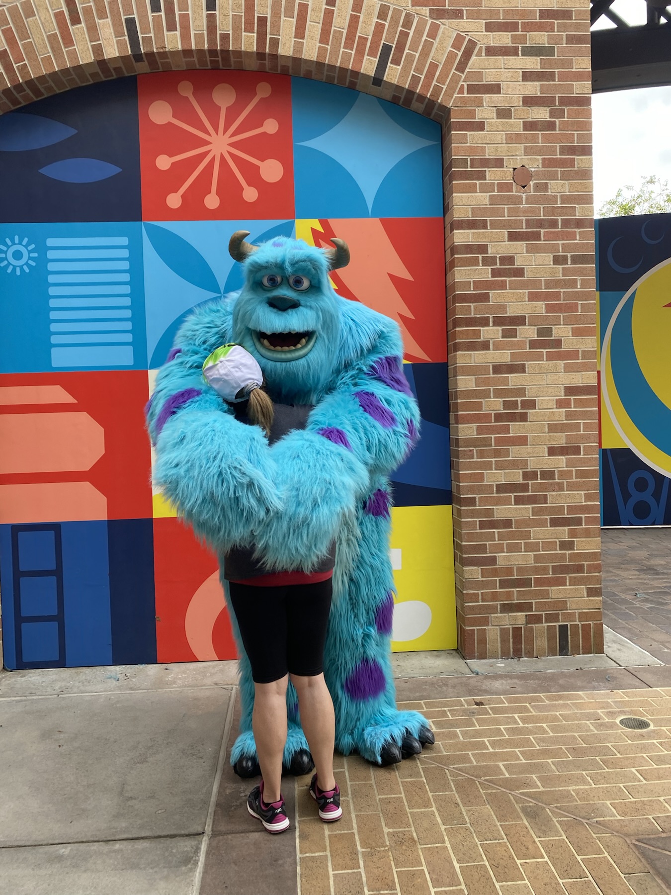 Giant Hug from James P. Sullivan at Pixar Place, Hollywood Studios