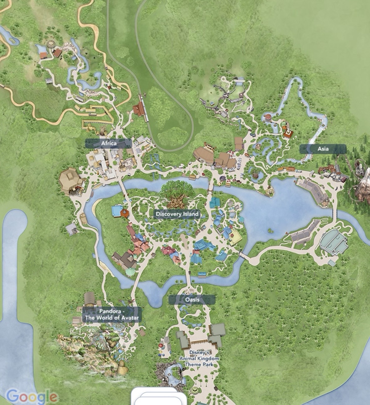 Disney's Animal Kingdom Hub and Spoke Design