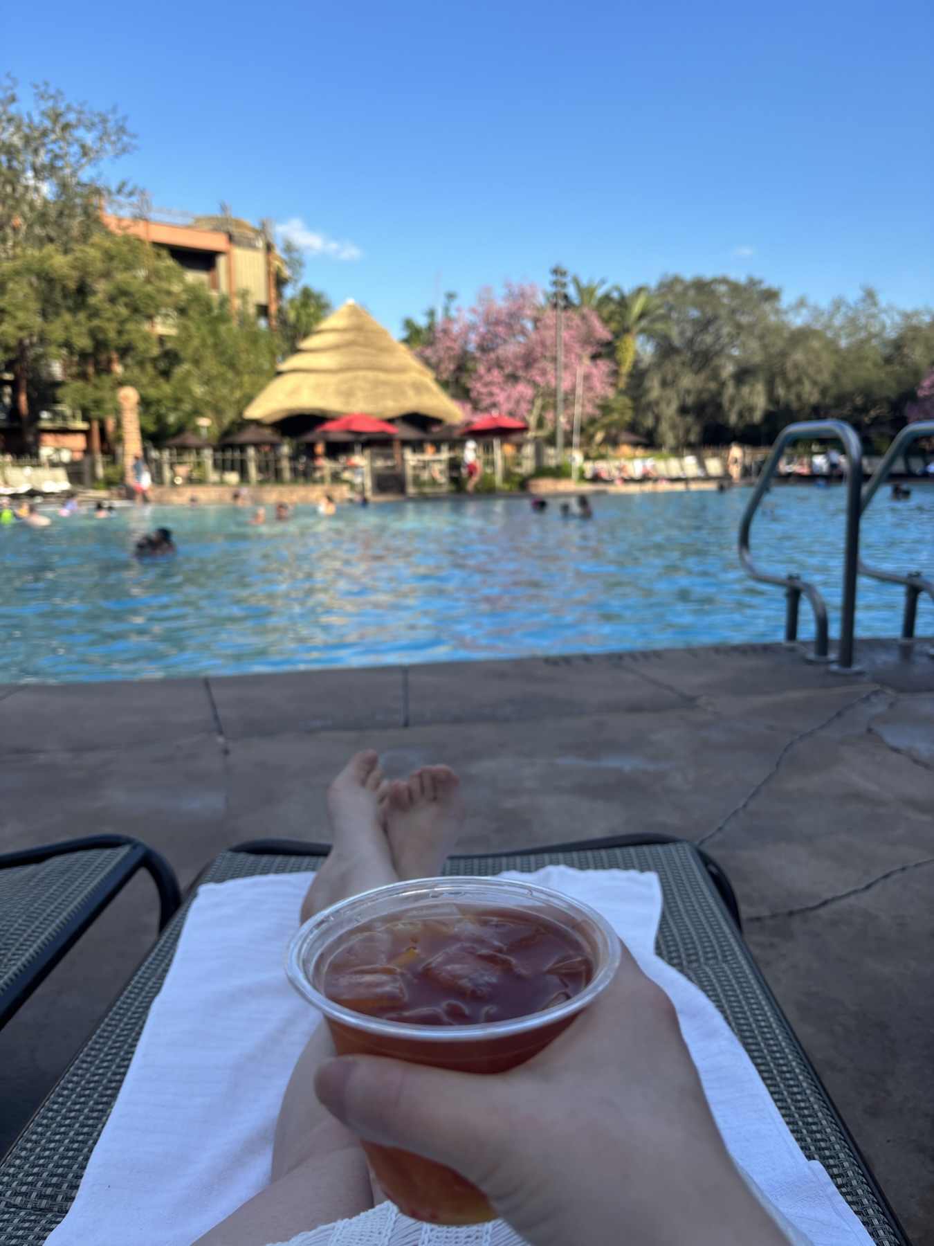 Animal Kingdom Lodge, Oasis Pool with a cocktail